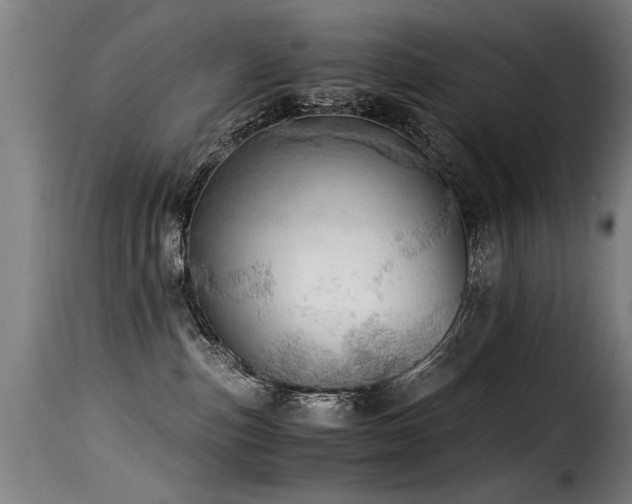 X0000116000187200911191433