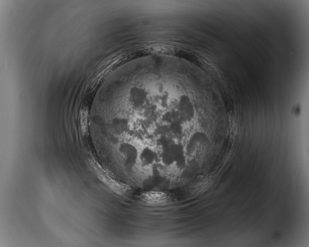 X0000116000189200911191433