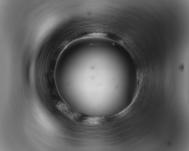 X0000116000190200911191433