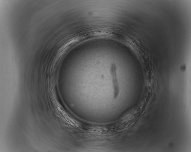 X0000116000193200911191432