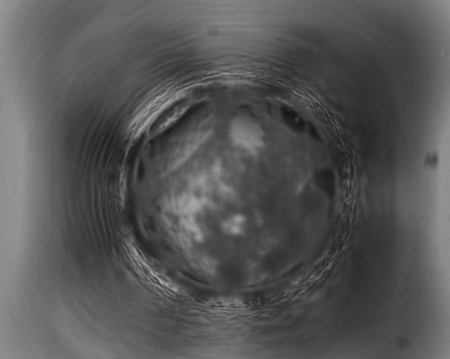 X0000116000194200911191432