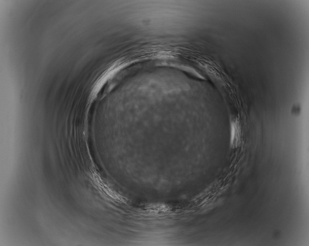 X0000116000195200911191432