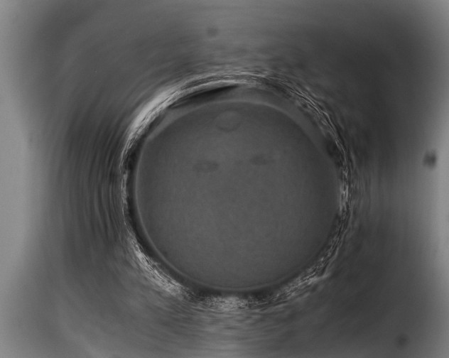 X0000116000197200911191432