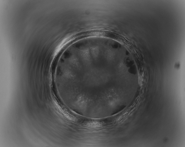 X0000116000198200911191432