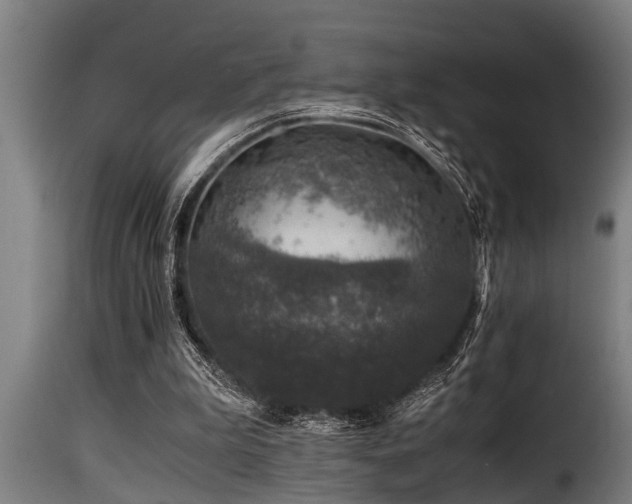 X0000116000199200911191432