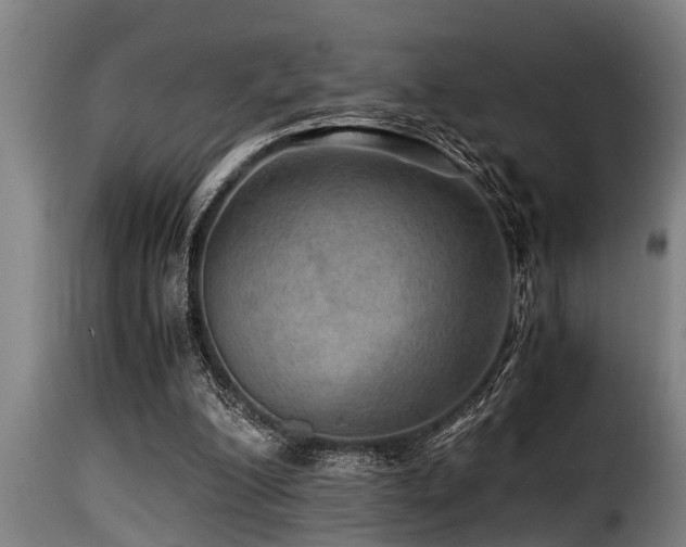 X0000116000200200911191432