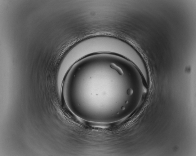 X0000116000201200911191432