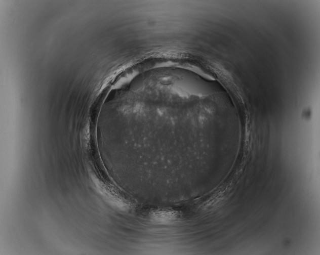 X0000116000202200911191432