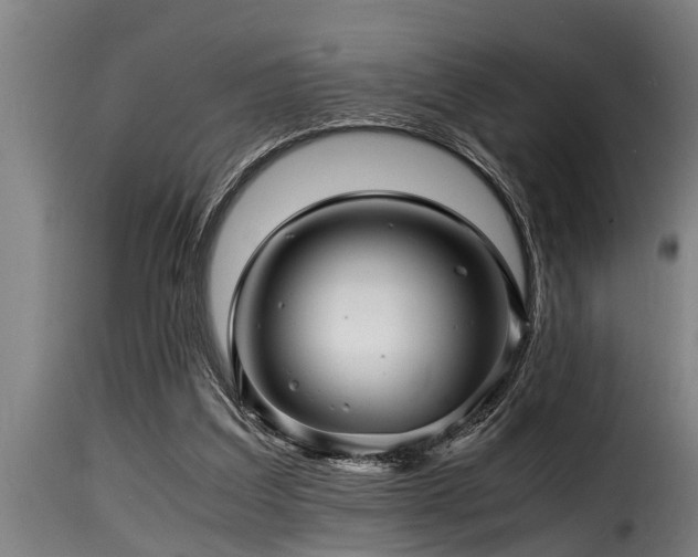 X0000116000203200911191432