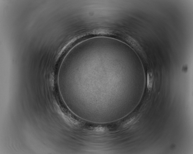 X0000116000204200911191432