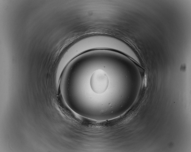 X0000116000205200911191432