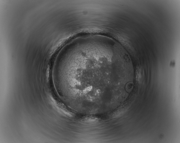 X0000116000206200911191432