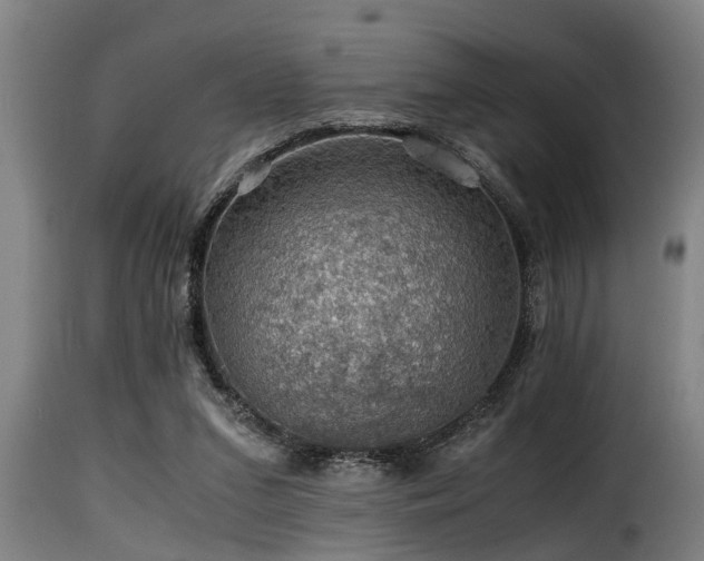 X0000116000207200911191432