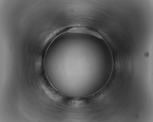 X0000116000208200911191432