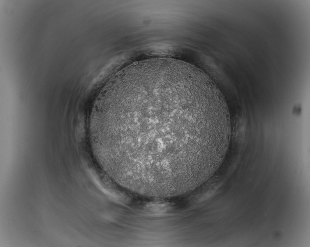 X0000116000213200911191432