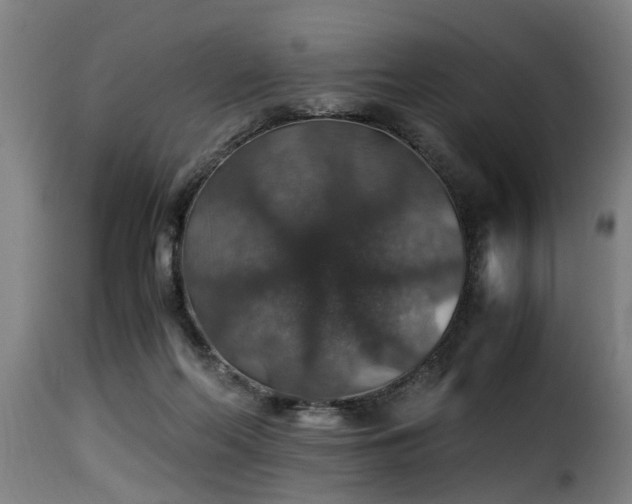 X0000116000214200911191432