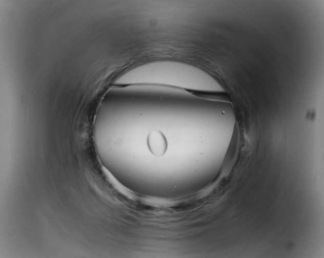 X0000116000215200911191432