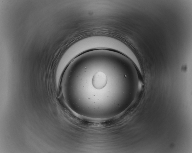 X0000116000217200911191432