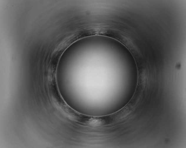 X0000116000218200911191432