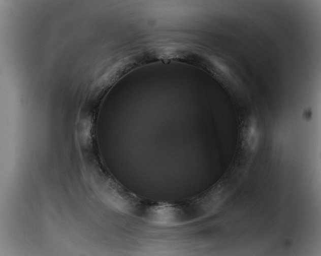 X0000116000219200911191432