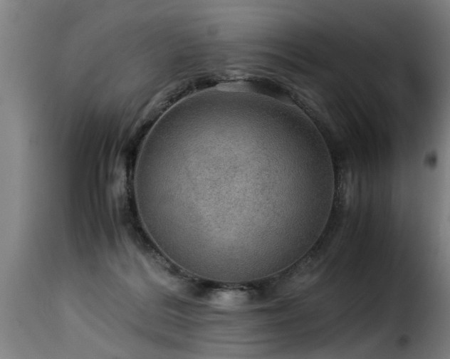 X0000116000220200911191432