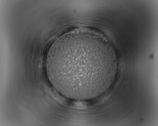 X0000116000221200911191432