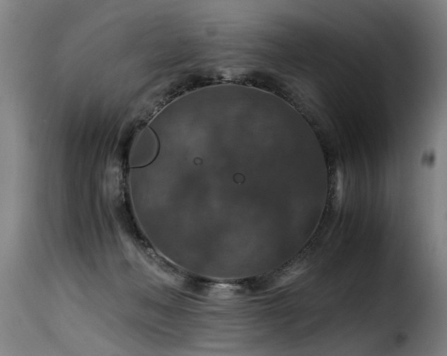 X0000116000222200911191431