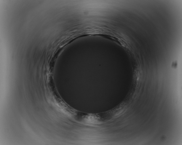 X0000116000223200911191431