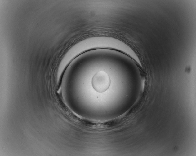 X0000116000225200911191431