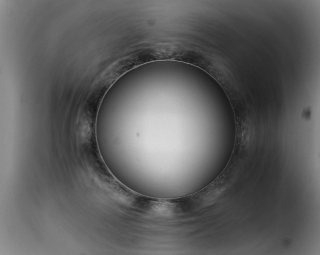 X0000116000226200911191431