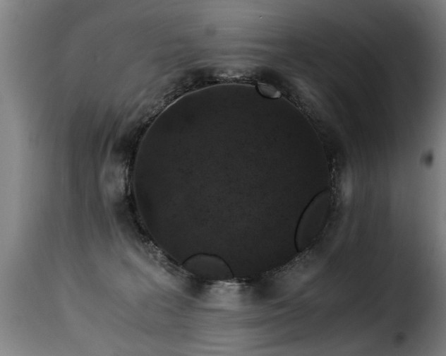 X0000116000227200911191431