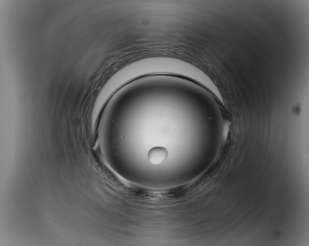 X0000116000229200911191431