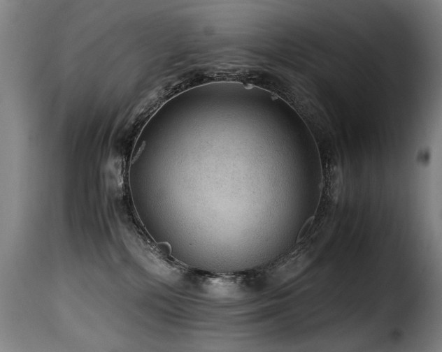 X0000116000232200911191431