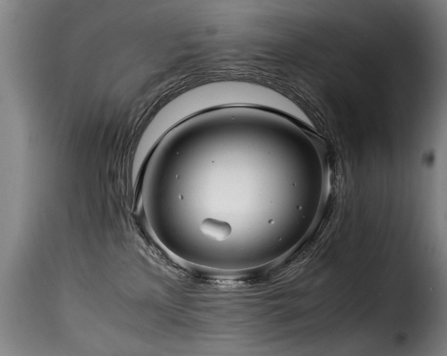 X0000116000233200911191431