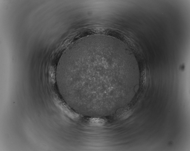 X0000116000234200911191431