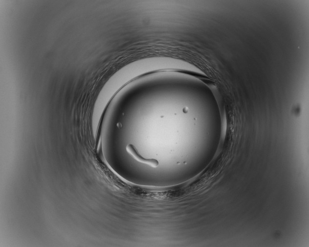 X0000116000235200911191431