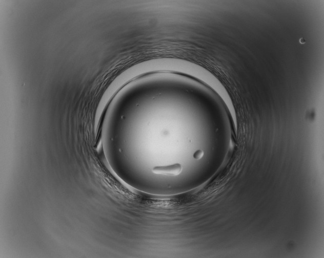 X0000116000237200911191431