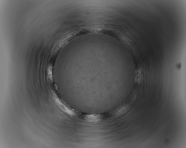 X0000116000238200911191431