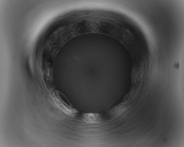 X0000116000239200911191431