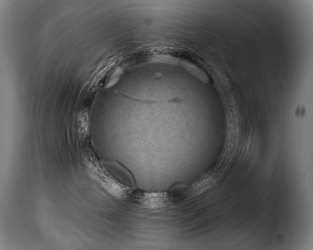 X0000116000240200911191431