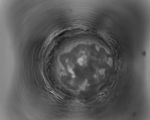 X0000116000241200911191431