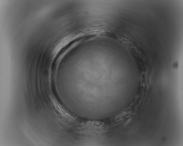 X0000116000242200911191431