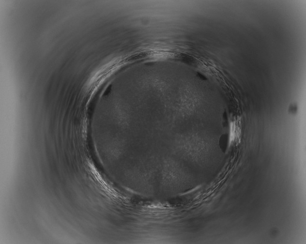 X0000116000243200911191431