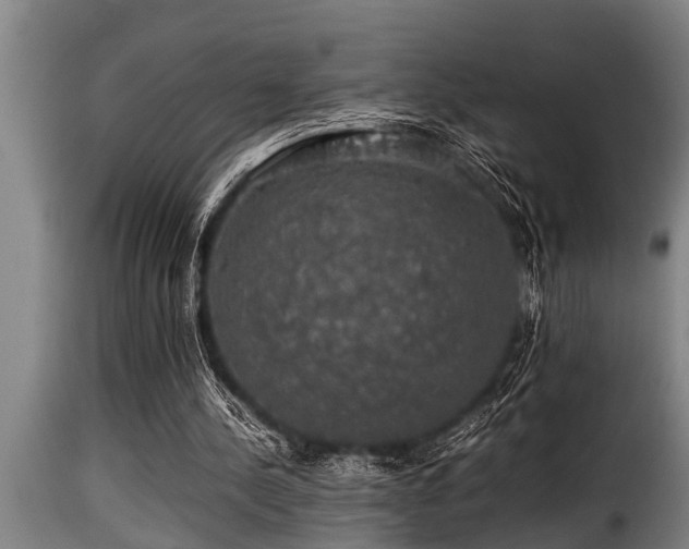 X0000116000244200911191431