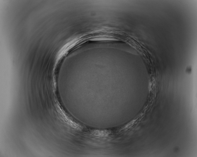 X0000116000245200911191431