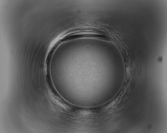 X0000116000246200911191431