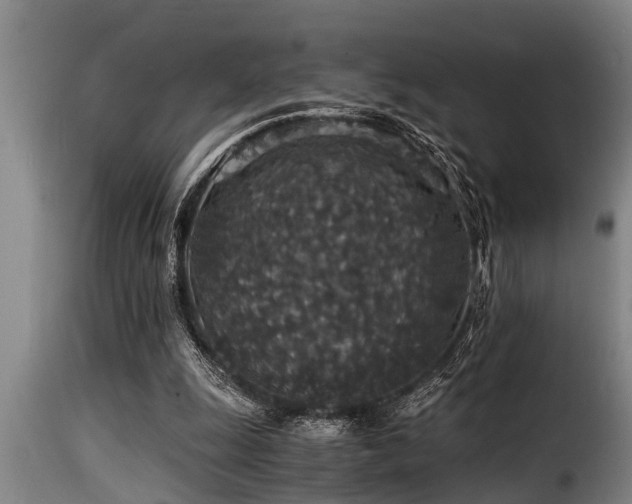 X0000116000247200911191431