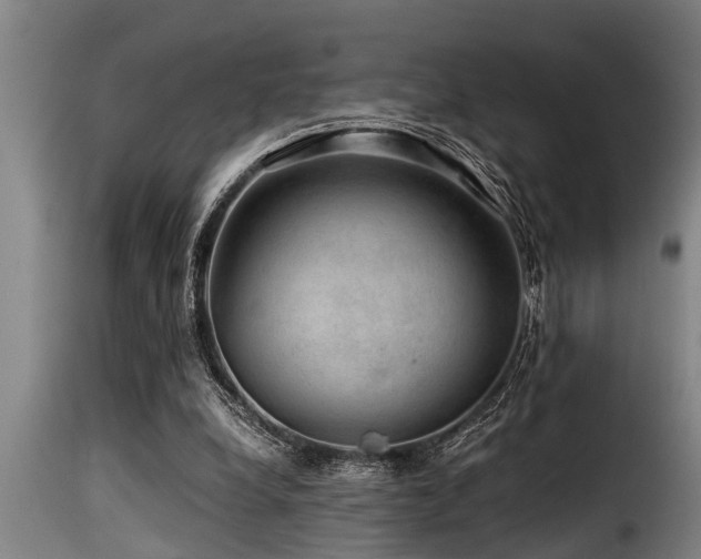 X0000116000248200911191431