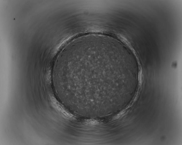 X0000116000249200911191431