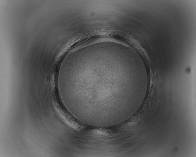 X0000116000250200911191431